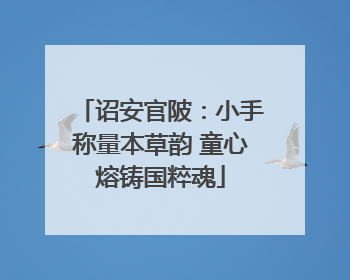 诏安官陂：小手称量本草韵 童心熔铸国粹魂