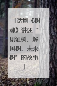 话剧《树魂》讲述“见证树、解困树、未来树”的故事