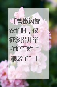 警徽闪耀农忙时，仪征多措并举守护百姓“粮袋子”