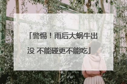 警惕！雨后大蜗牛出没 不能碰更不能吃