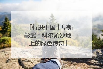 行进中国丨阜新彰武：科尔沁沙地上的绿色传奇