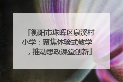 衡阳市珠晖区泉溪村小学：聚焦体验式教学，推动思政课堂创新