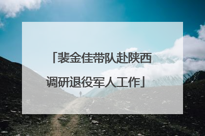 裴金佳带队赴陕西调研退役军人工作