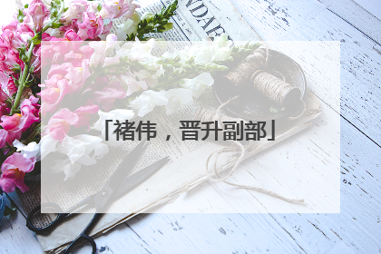 褚伟，晋升副部