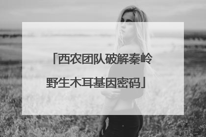 西农团队破解秦岭野生木耳基因密码
