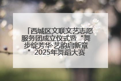 西城区文联文艺志愿服务团成立仪式暨“舞步绽芳华·艺韵启新章”2025年舞蹈大赛展演圆满举办