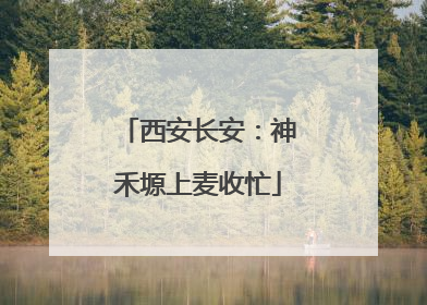 西安长安：神禾塬上麦收忙