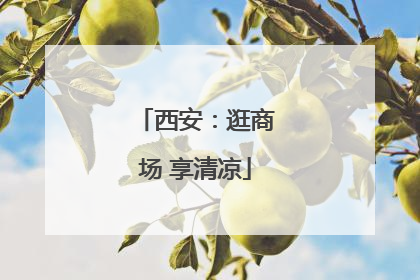 西安：逛商场 享清凉