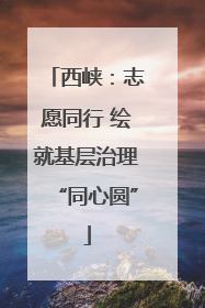 西峡：志愿同行 绘就基层治理“同心圆”