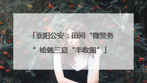 襄阳公安：田间“微警务”绘就三夏“丰收图”