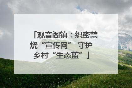 观音阁镇：织密禁烧“宣传网” 守护乡村“生态蓝”
