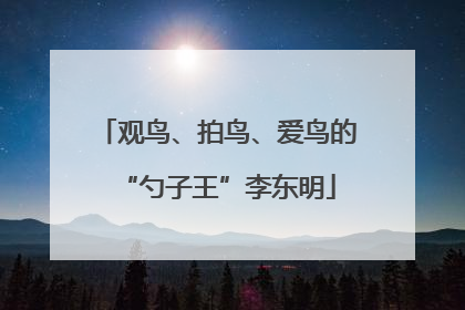 观鸟、拍鸟、爱鸟的“勺子王”李东明
