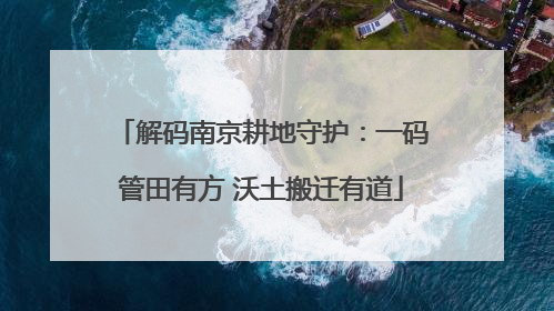 解码南京耕地守护：一码管田有方 沃土搬迁有道