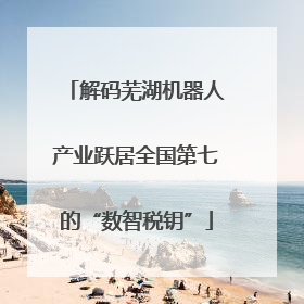 解码芜湖机器人产业跃居全国第七的“数智税钥”