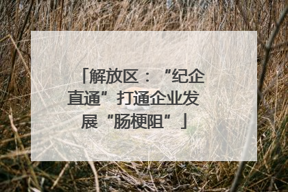解放区：“纪企直通”打通企业发展“肠梗阻”
