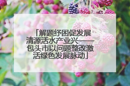 解题纾困促发展 清源活水产业兴——包头市以问题整改激活绿色发展脉动