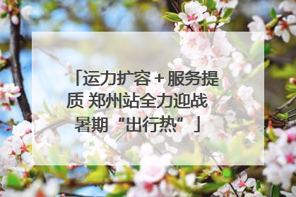 运力扩容＋服务提质 郑州站全力迎战暑期“出行热”