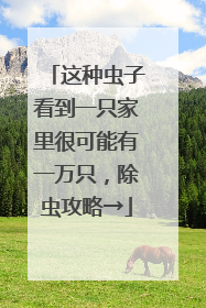 这种虫子看到一只家里很可能有一万只，除虫攻略→