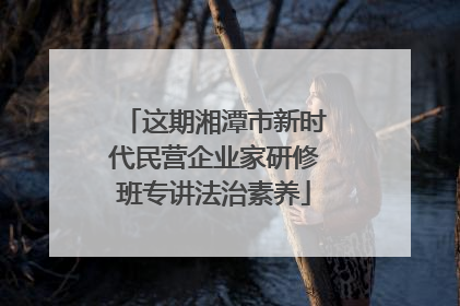 这期湘潭市新时代民营企业家研修班专讲法治素养