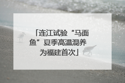 连江试验“马面鱼”夏季高温混养 为福建首次