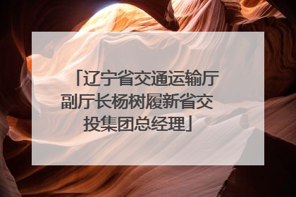 辽宁省交通运输厅副厅长杨树履新省交投集团总经理