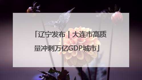 辽宁发布｜大连市高质量冲刺万亿GDP城市
