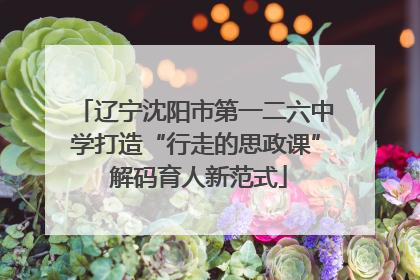 辽宁沈阳市第一二六中学打造“行走的思政课” 解码育人新范式