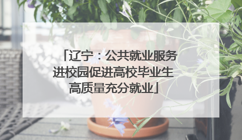 辽宁：公共就业服务进校园促进高校毕业生高质量充分就业