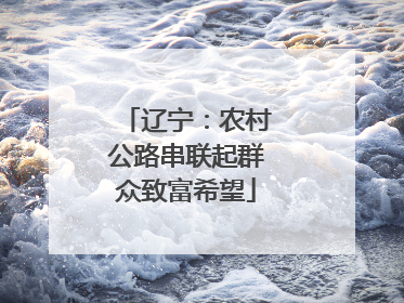 辽宁：农村公路串联起群众致富希望