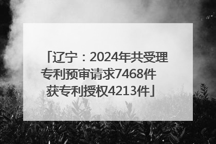 辽宁：2024年共受理专利预审请求7468件 获专利授权4213件