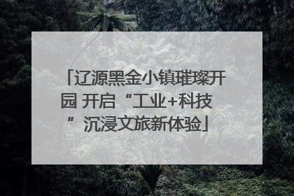辽源黑金小镇璀璨开园 开启“工业+科技”沉浸文旅新体验