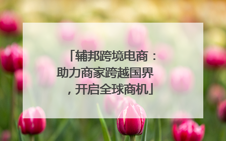 辅邦跨境电商：助力商家跨越国界，开启全球商机
