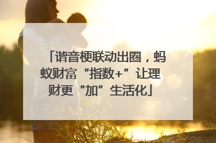 谐音梗联动出圈，蚂蚁财富“指数+”让理财更“加”生活化