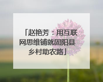 赵艳芳：用互联网思维铺就固阳县乡村助农路