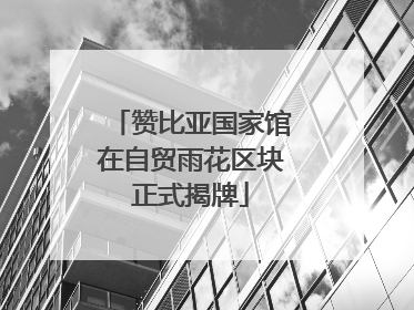 赞比亚国家馆在自贸雨花区块正式揭牌
