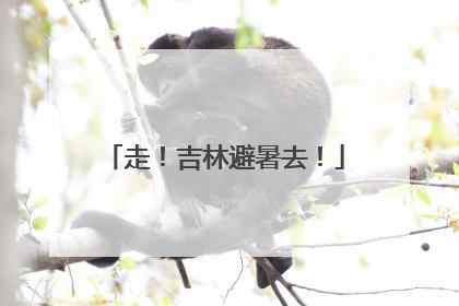 走！吉林避暑去！