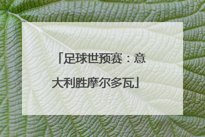 足球世预赛：意大利胜摩尔多瓦