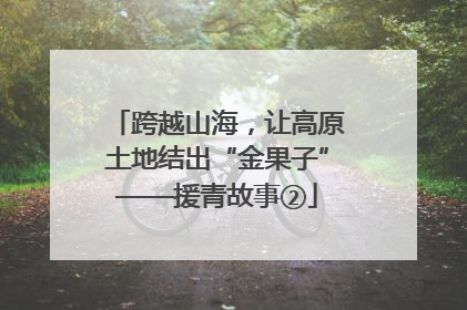 跨越山海，让高原土地结出“金果子”——援青故事②
