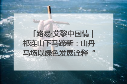 路易·艾黎中国情｜祁连山下马蹄新：山丹马场以绿色发展诠释“两山”理论实践