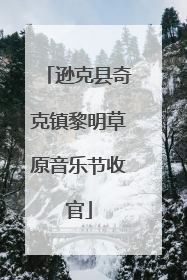 逊克县奇克镇黎明草原音乐节收官
