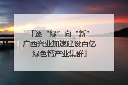 逐“绿”向“新” 广西兴业加速建设百亿绿色钙产业集群