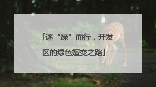 逐“绿”而行，开发区的绿色嬗变之路