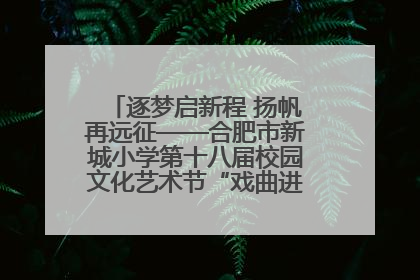 逐梦启新程 扬帆再远征——合肥市新城小学第十八届校园文化艺术节“戏曲进校园专场演出”