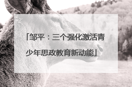 邹平：三个强化激活青少年思政教育新动能