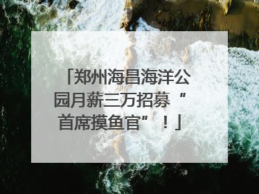 郑州海昌海洋公园月薪三万招募“首席摸鱼官”！