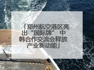 郑州航空港区亮出“国际牌” 中韩合作交流会释放产业新动能
