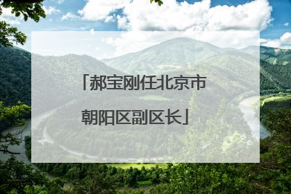 郝宝刚任北京市朝阳区副区长