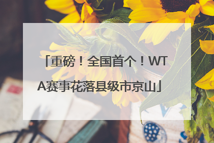 重磅！全国首个！WTA赛事花落县级市京山
