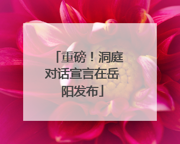 重磅！洞庭对话宣言在岳阳发布