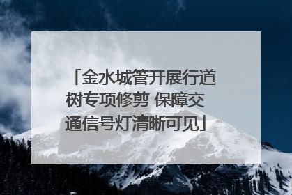 金水城管开展行道树专项修剪 保障交通信号灯清晰可见